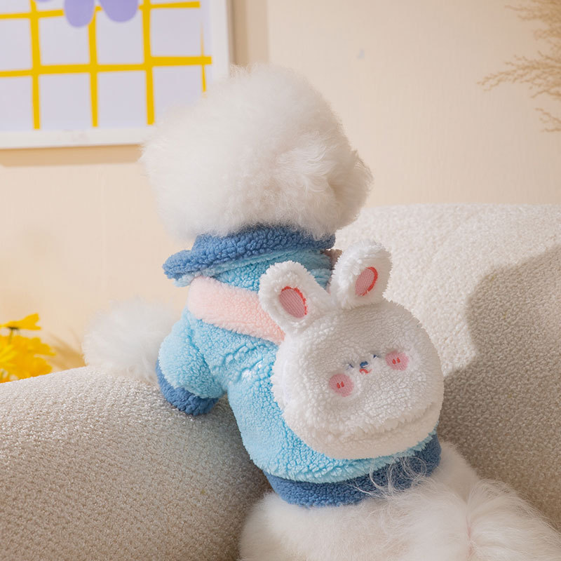 Lapin bleu