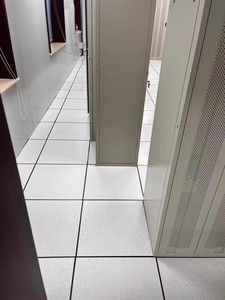 High <strong>Performance</strong> Anti Static Flooring <strong>Systems</strong> for Cleanrooms with Advanced ESD Control Features - Product Image 2