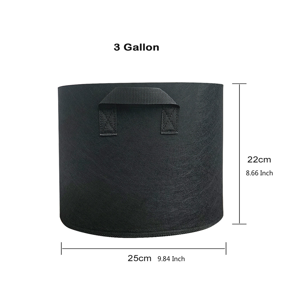 Noir 3 gallons