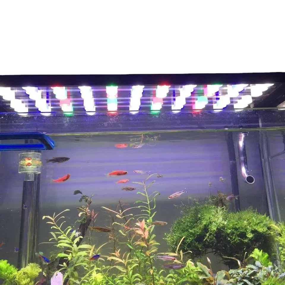 ضوء Led ww CC03 مع واي فاي قابل للإضاءة ليد للشعاب المرجانية مع إضاءة حوض السمك كونتاك سوبرسبتمبير صيني أبيض برتقالي مضيء ب