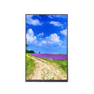 800x1280 IPS 10 "LCD-Display mit Treiber platine Raspberry pi kompatibel - Product Image 4