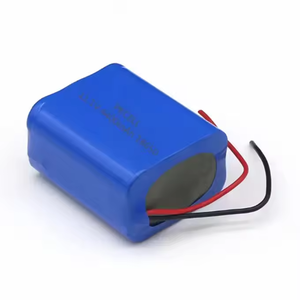 皇冠C定制镍镉2.4v 3.6v 4.8v 6v 7.2v尺寸AA Sub C镍氢镍镉可充电电池组 - Product Image 3