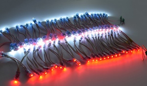 LED-Pixel modul licht für den Außenbereich einfarbiges LED-Pixel ws2811 0,2 W 12V LED-Pixel Punkt licht - Product Image 4