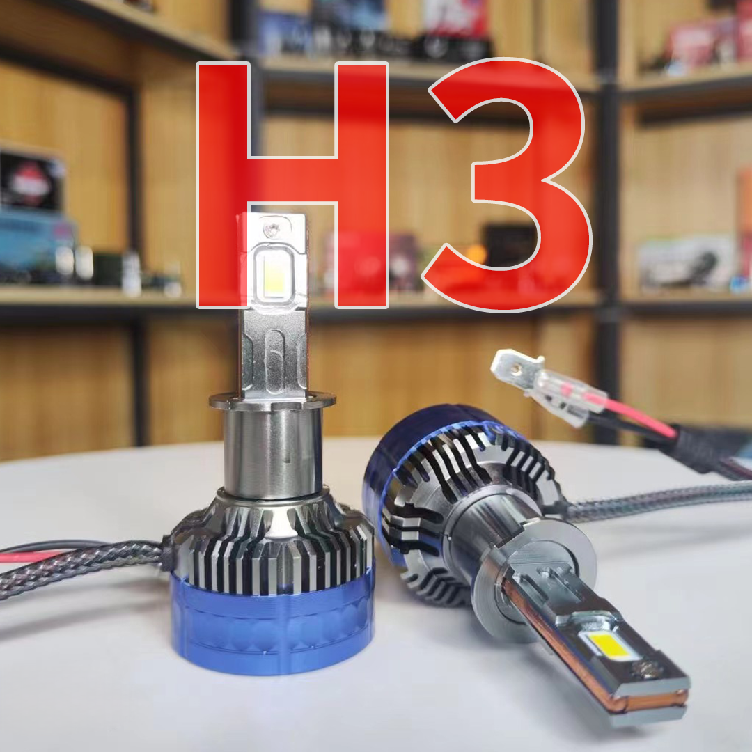 H3