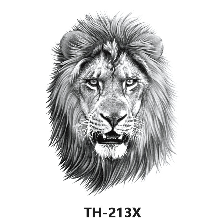 TH-213X
