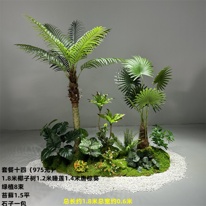 Paquete de plantas verdes de cocotero, 14 unidades.