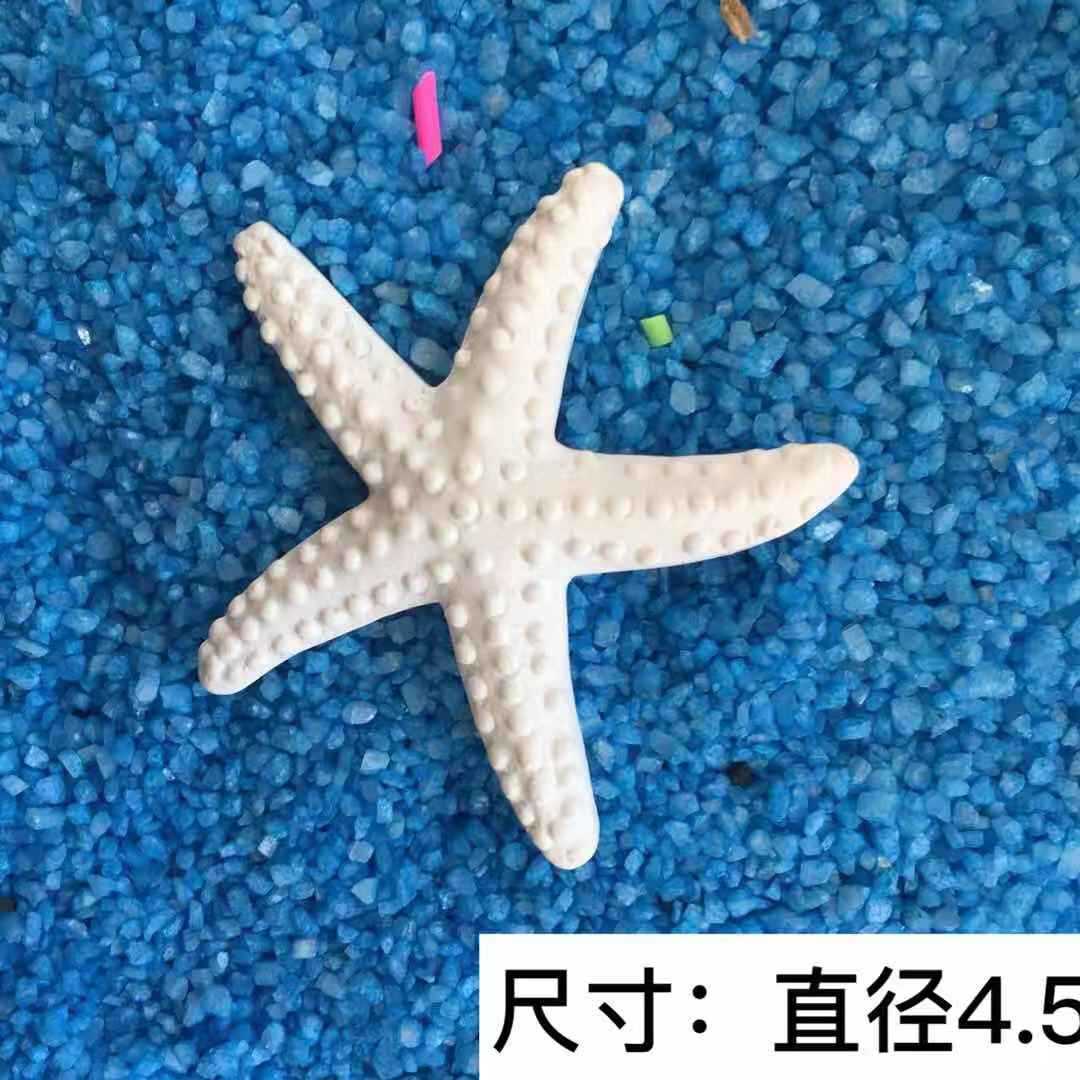 Stella marina da 4,5 cm