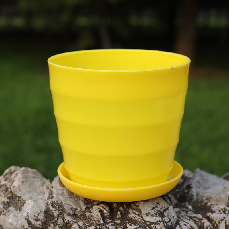 Thickened yellow tray