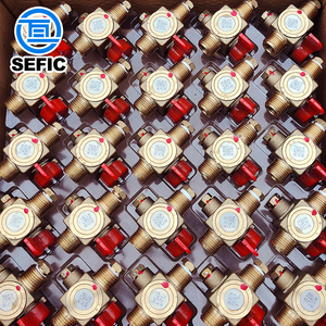 ISO11119 Standard 406 mm 200 Bar <span class=keywords><strong>Cng</strong></span> Tank <span class=keywords><strong>Cng</strong></span> Zylinder 200 L mit Tped Zertifikat - Product Image 5