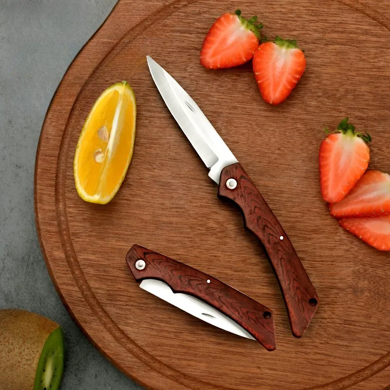 Paslanmaz çelik bıçak katlanır cep bıçak plastik saplı açık bıçak kamp için özel Logo