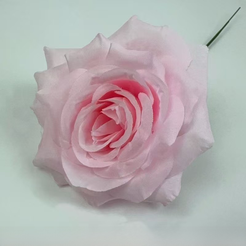 Single Stem of Lai Fei Rose