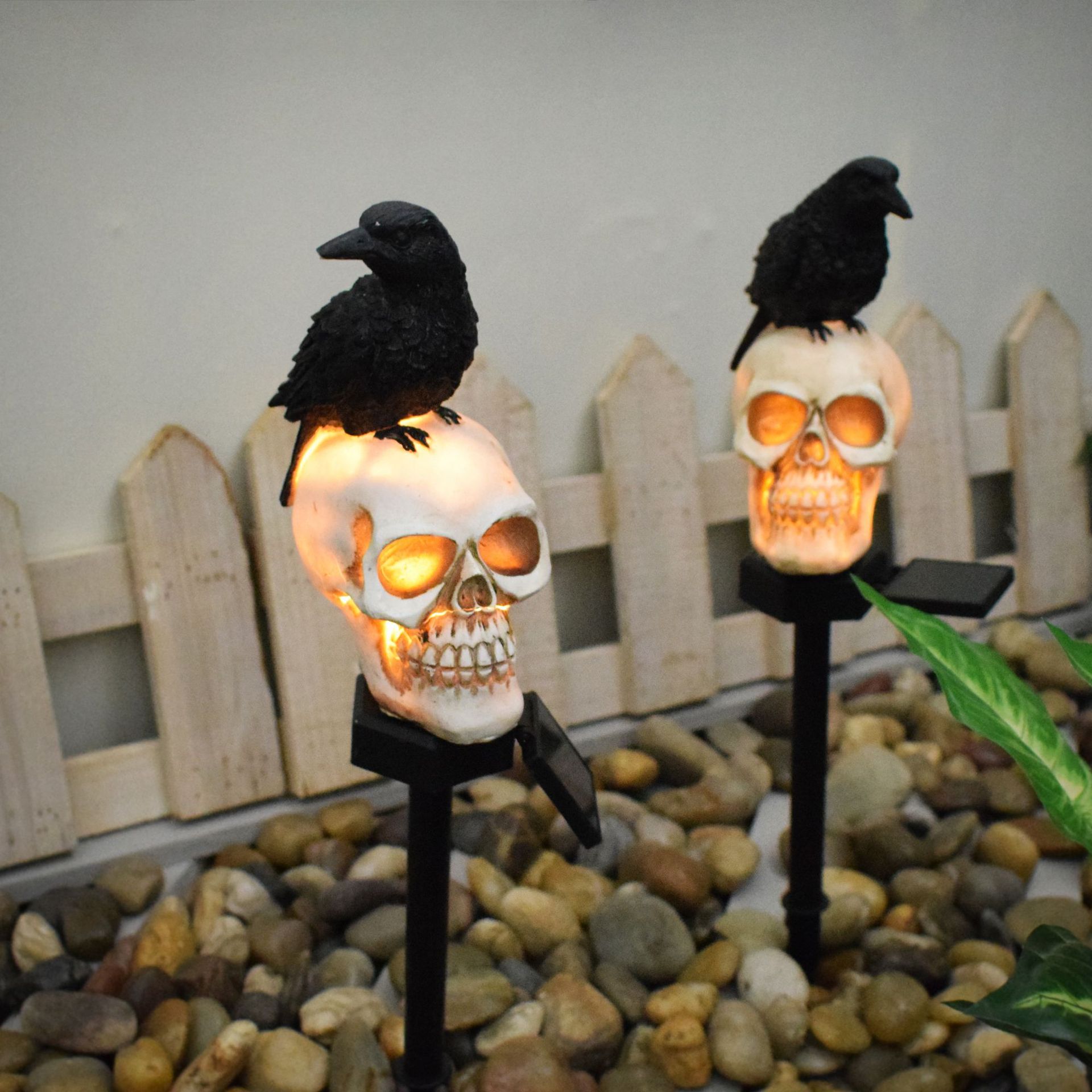 Crow left look + front look set two