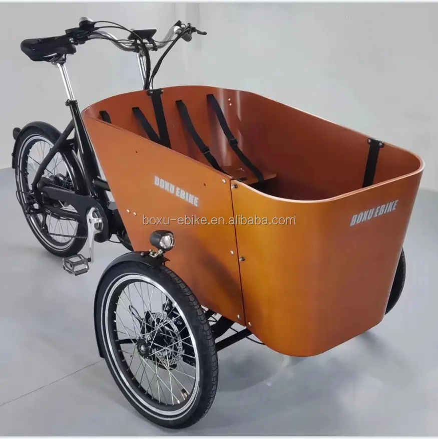 Triciclo de carga eléctrica de 3 ruedas con bicicleta de carga reforzada bicicleta eléctrica e bicicleta de carga