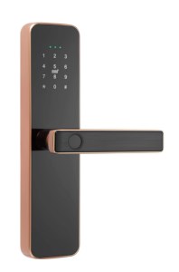 EIYSIE sin llave en idioma árabe compatible con la aplicación WiFi tuya control remoto por manija del teléfono cerradura de puerta inteligente Venta caliente FÁBRICA DE China