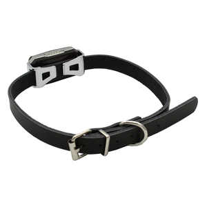 Wholesales 2G tracker for Cat <strong>Smallest</strong> Gps tracker Necklace Pet Gps Mini Collars With Real Time <strong>Tracking</strong> Gps Alarm <strong>System</strong> G15P - Product Image 4