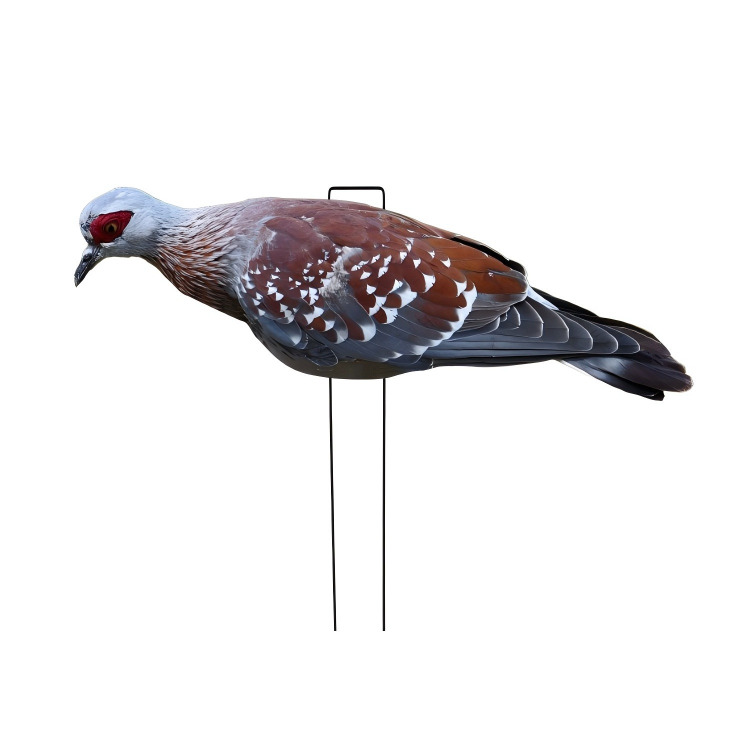 Brown #2 Pigeon
