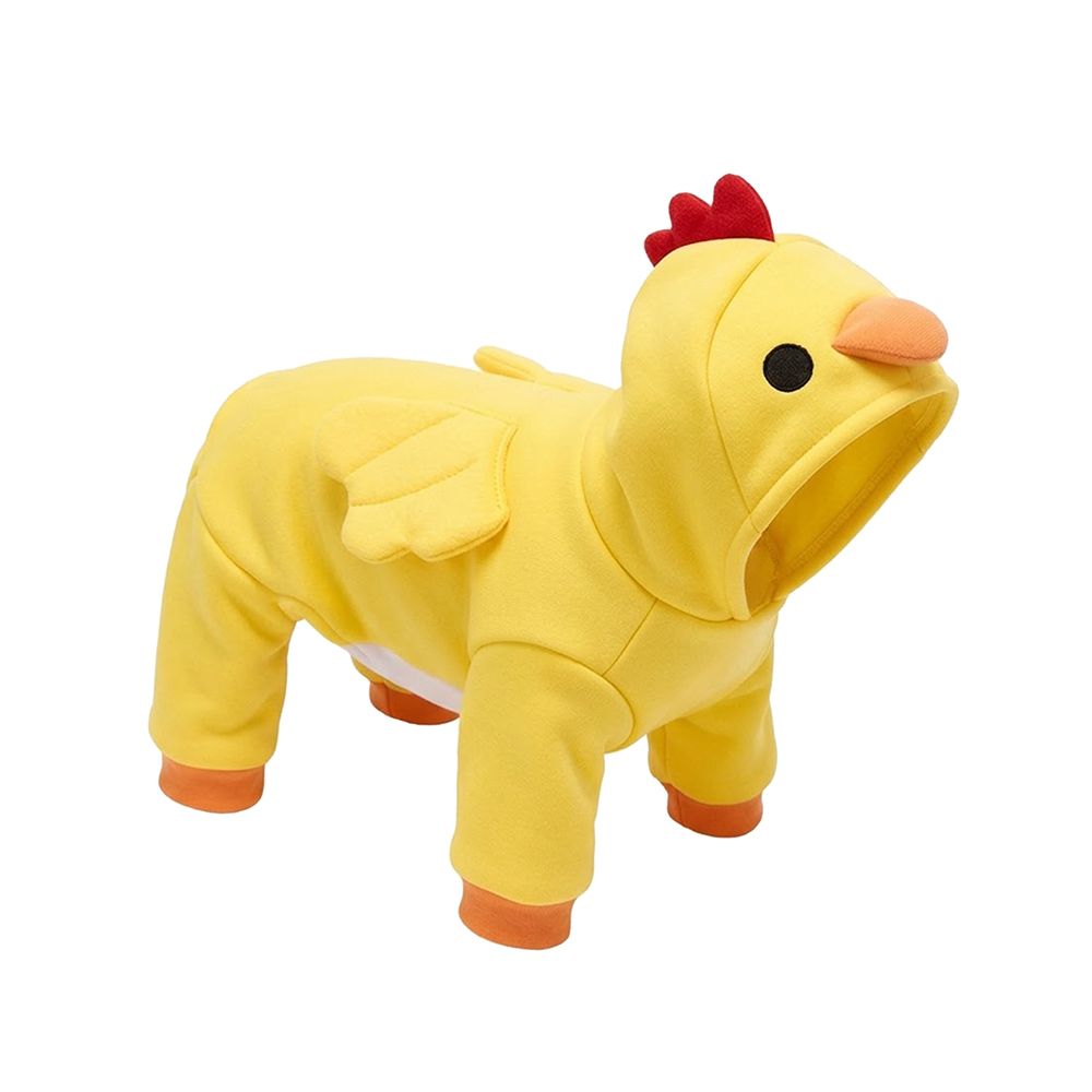 Poulet jaune ensoleillé