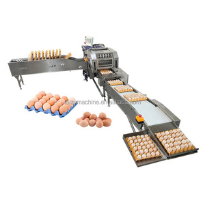 Egg Tray Loading <strong>Machine</strong> <strong>Automated</strong> Chicken Egg Pack <strong>Machine</strong> Egg <strong>Sorting</strong> and Pack <strong>Machine</strong> - Product Image 1