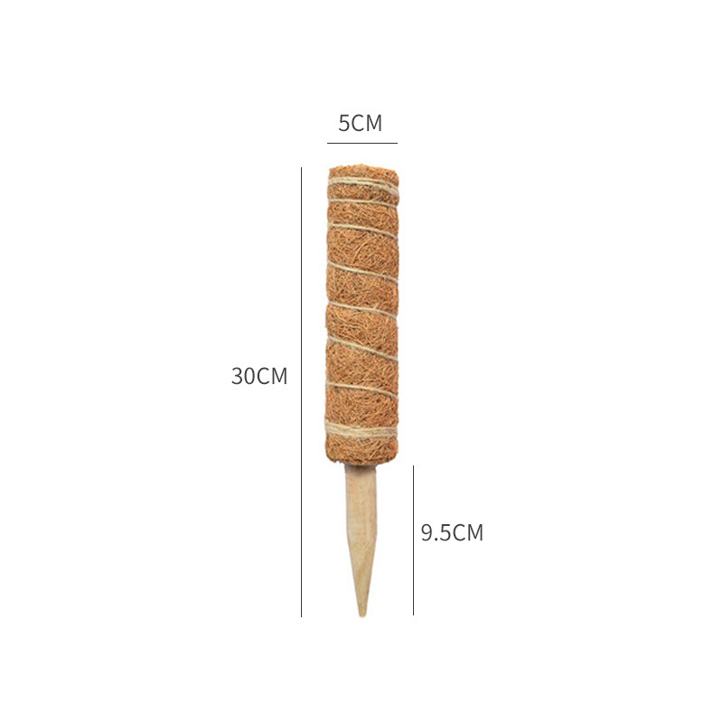 Stick-30cm de palmier coco