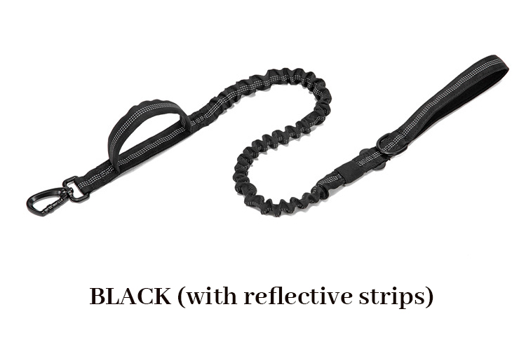 black leash