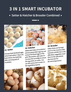 WONEGG Low <strong>Cost</strong> 9 Egg Hatcher for Beginners with Auto Temperature and LED Egg Tester Easy to <strong>Use</strong> - Product Image 3
