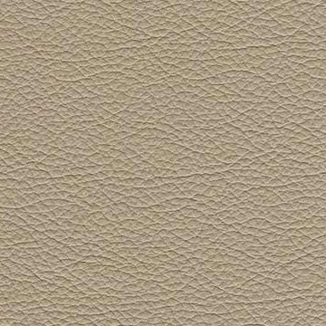 Beige Leatherette