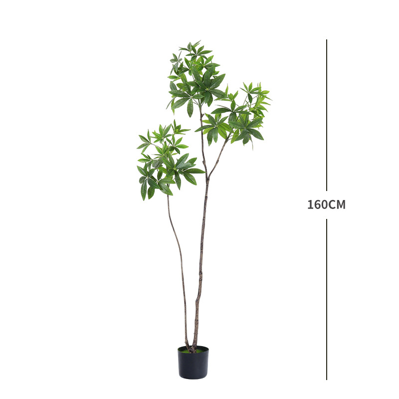 160cm