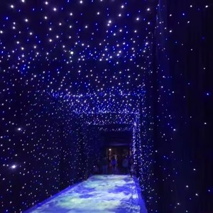 LED luce luce del cielo stellato chiesa decorazione di illuminazione di nozze sfondo a led a goccia in tessuto a stella sfondo cielo stellato - Product Image 6