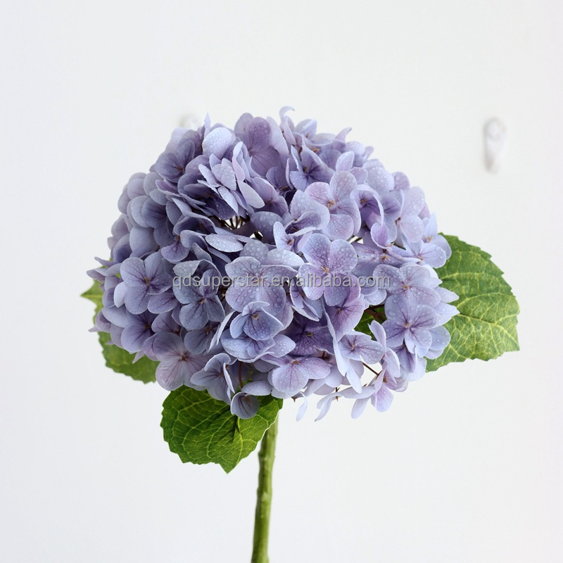12# Purple