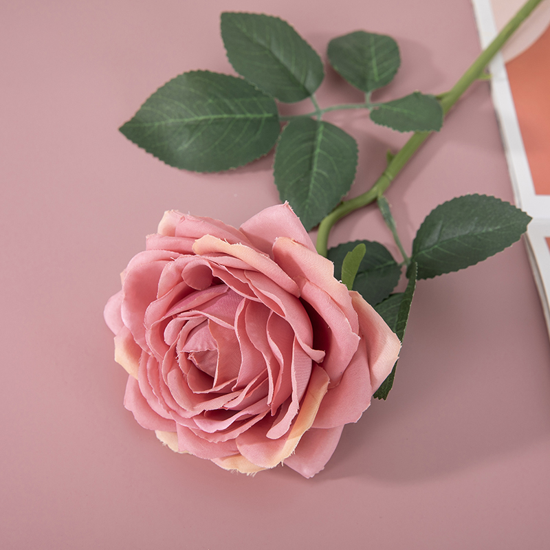 Rose Foncé