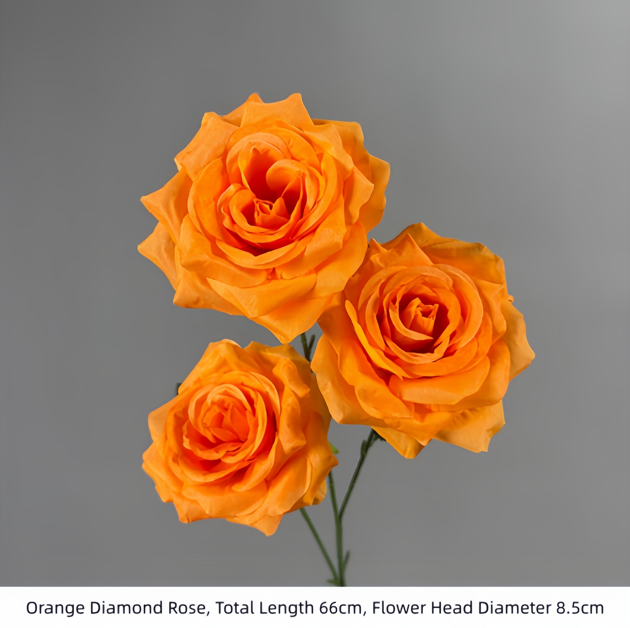 Rose Diamant Orange