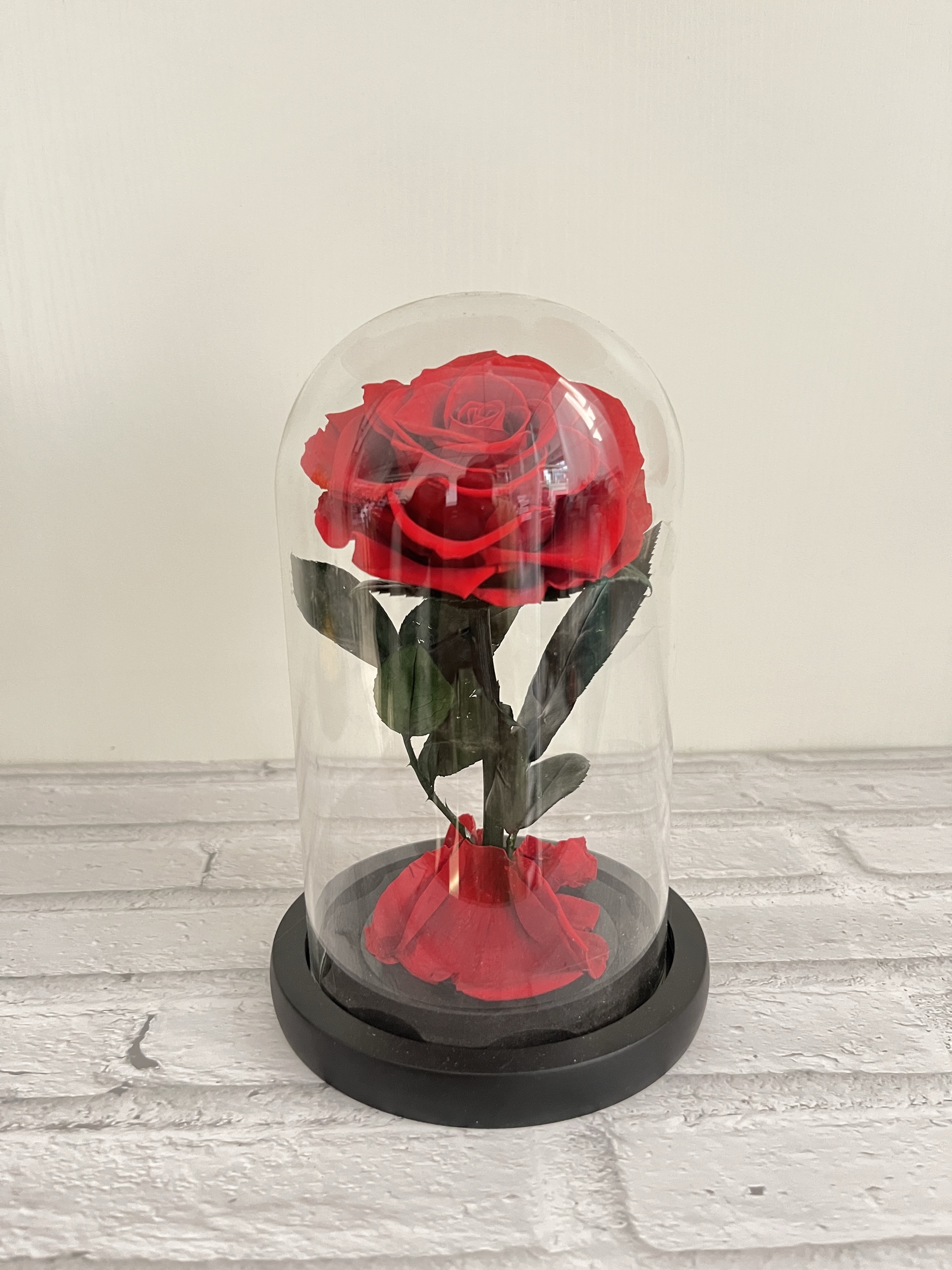 Rojo oscuro (10*18cm)