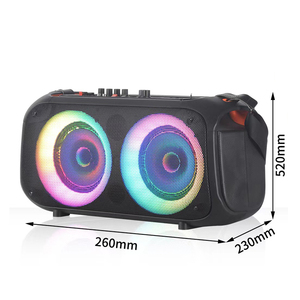 Fabrika LED ışıkları ile şık aktif kablosuz arabası hoparlörler yaptı. - Product Image 1