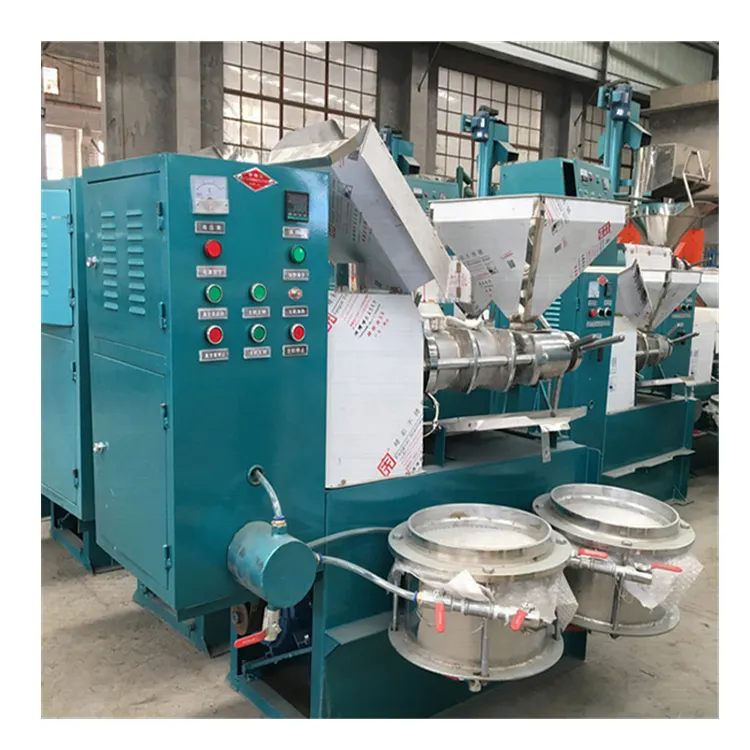 automatic rapeseed cotton seeds oil cold press pressing machine sunflower soybean corn oil making machine