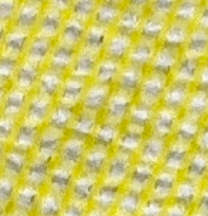 Yellow & White Gingham