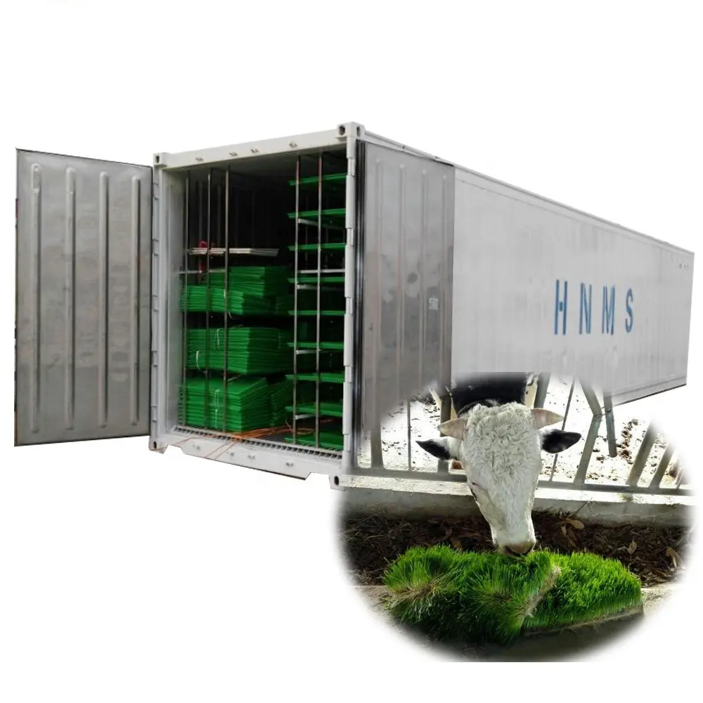 Sistema de enrutamiento de trigo/Cebada hidropónico, tipo de contenedor, máquina de cultivo de forraje para aves de corral