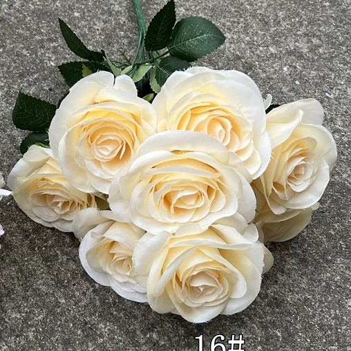 169 tête amant mei champagne