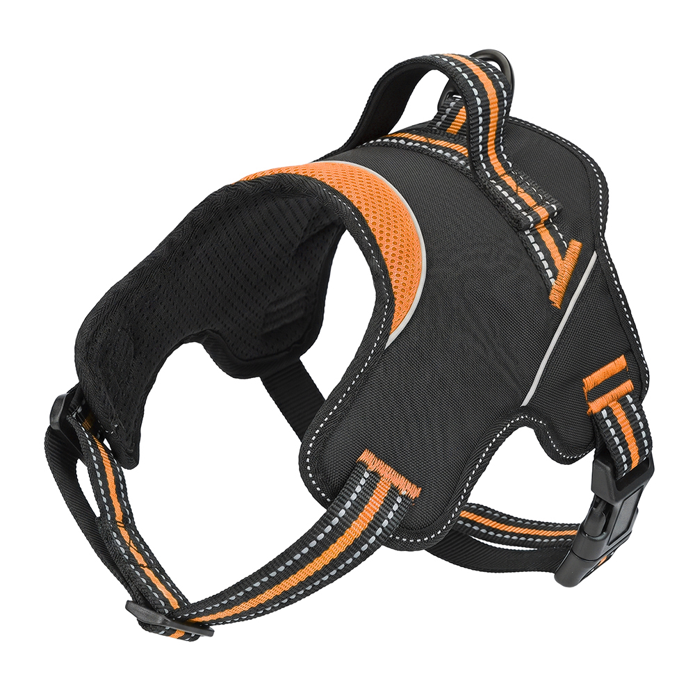 Active Orange