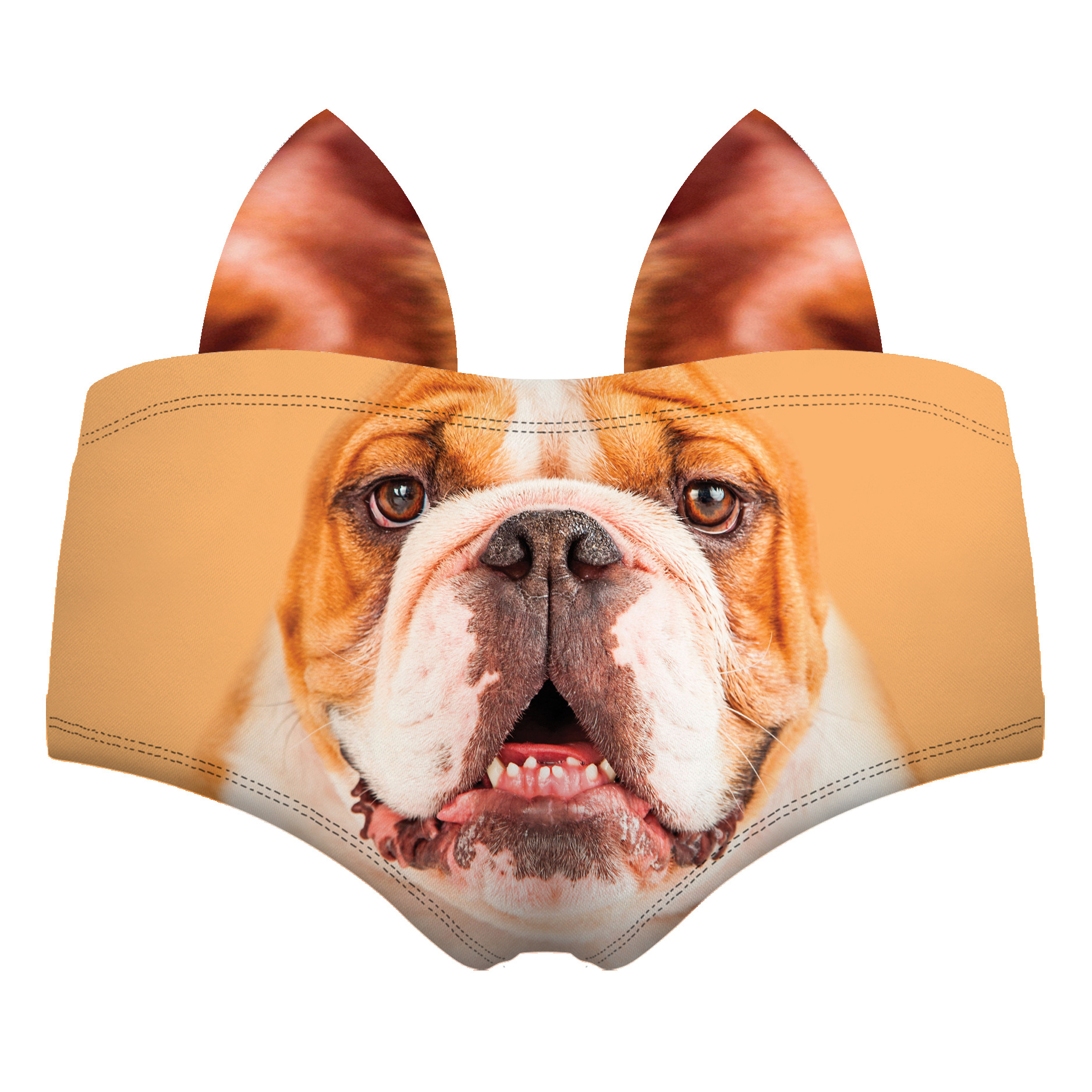 Cane giallo