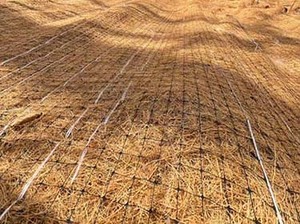 Degradable Polypropylene <strong>Net</strong> PP Netting UVD <strong>NET</strong> Grass Netting - Product Image 5