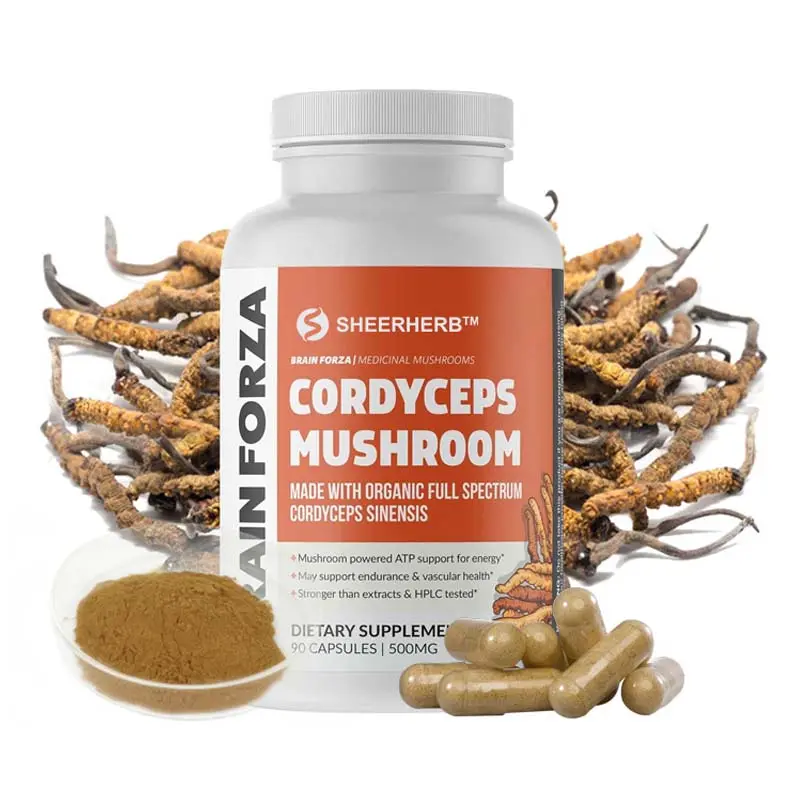 Poudre organique de Cordyceps Sinensis d'extrait de supplément de santé de haute qualité Cordycepin