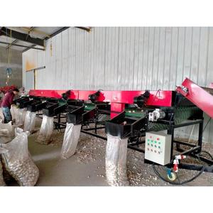 Factory Price Robust 11900mm <strong>Automated</strong> Fruit and Vegetable <strong>Sorting</strong> <strong>Machine</strong> for Vegetable Processing Lines - Product Image 2