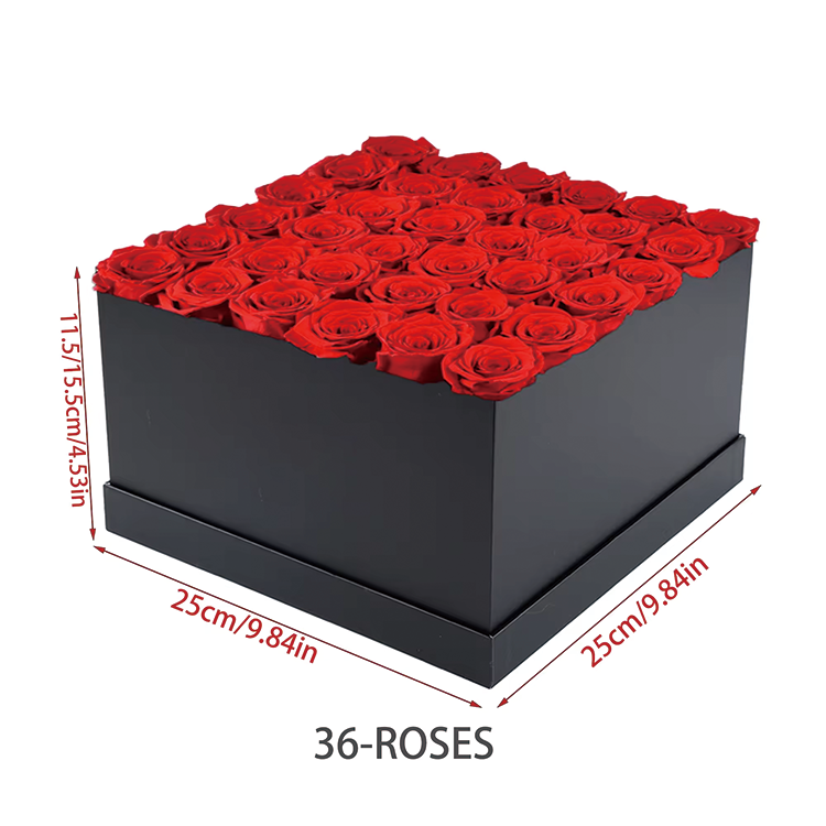 Square 36 Roses