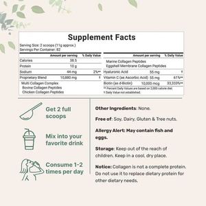 Micro Ingredients <strong>Collagen</strong> Powder Multi <strong>Collagen</strong> Protein Powder Type I,II,III,V,<strong>X</strong> with Biotin Powder - Product Image 4