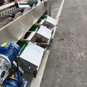 Automatische Sortiermaschine für Obst-und Gemüse größen Sortiermaschine Karotten sortiermaschine Obsts ortier maschine - Product Image 2