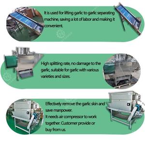 Küçük ölçekli yatırım iş sarımsak soyucu zincir tipi soyulmuş sarımsak sarımsak soyma makinesi - Product Image 2
