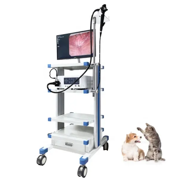 Dispositivos médicos VET Endoscopio veterinario Gastroscopio electrónico Colonoscopio Video