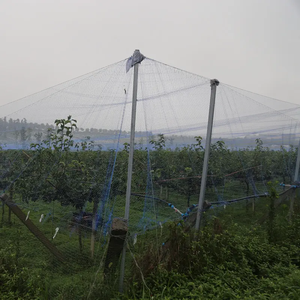 Agriculturefor Fruit <strong>Tree</strong> Greenhouse <strong>Cover</strong> Insect <strong>Net</strong> Anti Bird <strong>Net</strong> - Product Image 5