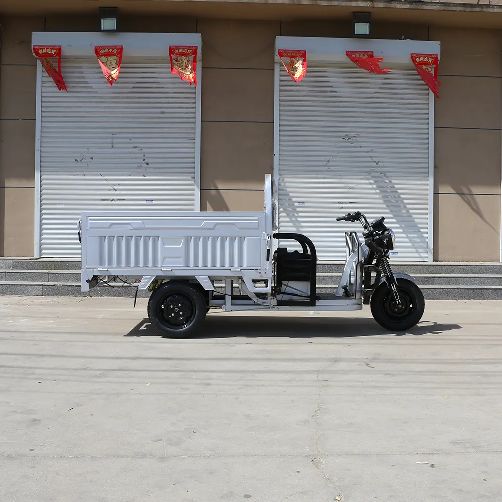2024 Popular motocicleta eléctrica triciclo 1200W 3 ruedas triciclo eléctrico bicicleta para la venta
