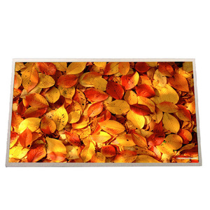 B133xw02 V1 LCD Bảng điều chỉnh 40 Pins kết nối 13.3 inch 1366*768 WXGA 118ppi đầy đủ mới màn hình LCD hiển thị cho máy tính xách tay - Product Image 1